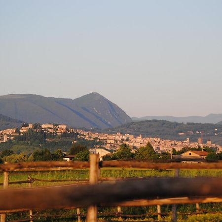 Agriturismo Il Barco Spello Εξωτερικό φωτογραφία