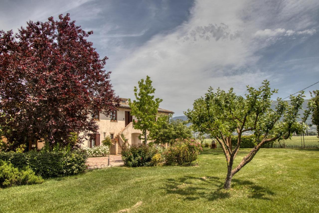 Agriturismo Il Barco Spello Εξωτερικό φωτογραφία