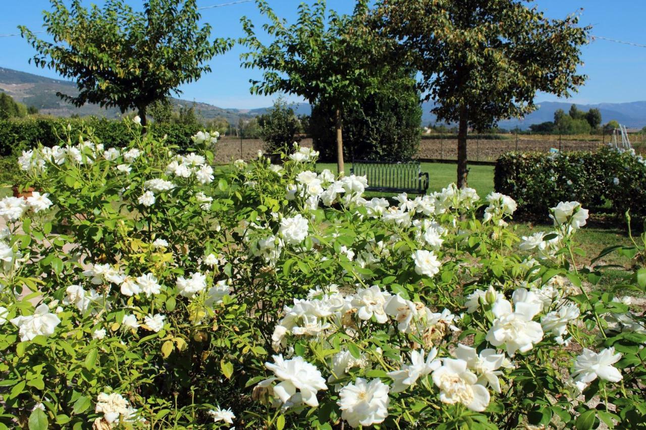 Agriturismo Il Barco Spello Εξωτερικό φωτογραφία